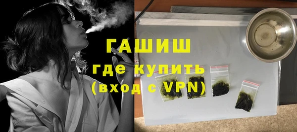 индика Белокуриха