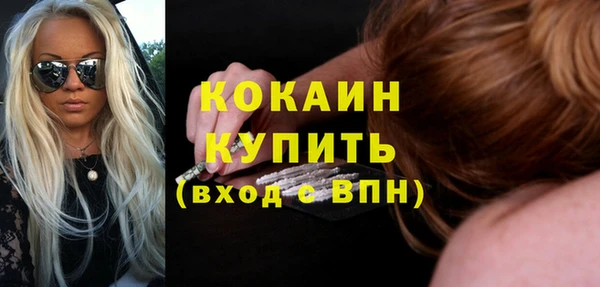 индика Белокуриха