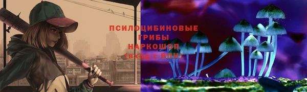 прущие грибы Белоозёрский