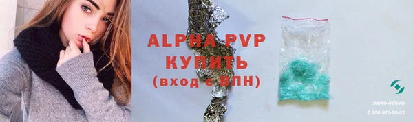 прущие грибы Белоозёрский