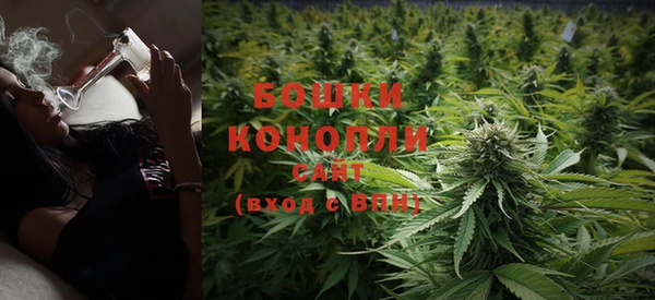 индика Белокуриха