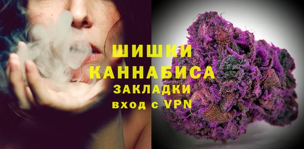 прущие грибы Белоозёрский