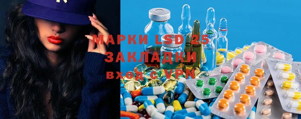 индика Белокуриха