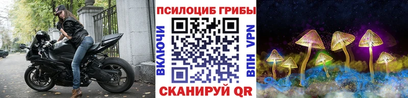Купить  Перевоз  Псилоцибиновые грибы Magic Shrooms 